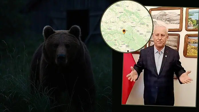 Niedźwiedź w Bukowcu